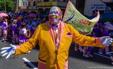 Cape Town Minstrels Carnival 2015-54